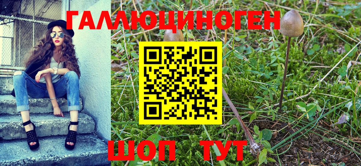 Псилоцибиновые грибы GOLDEN TEACHER  Псилоцибиновые грибы Psilocybe  Вход с VPN  Партизанск 