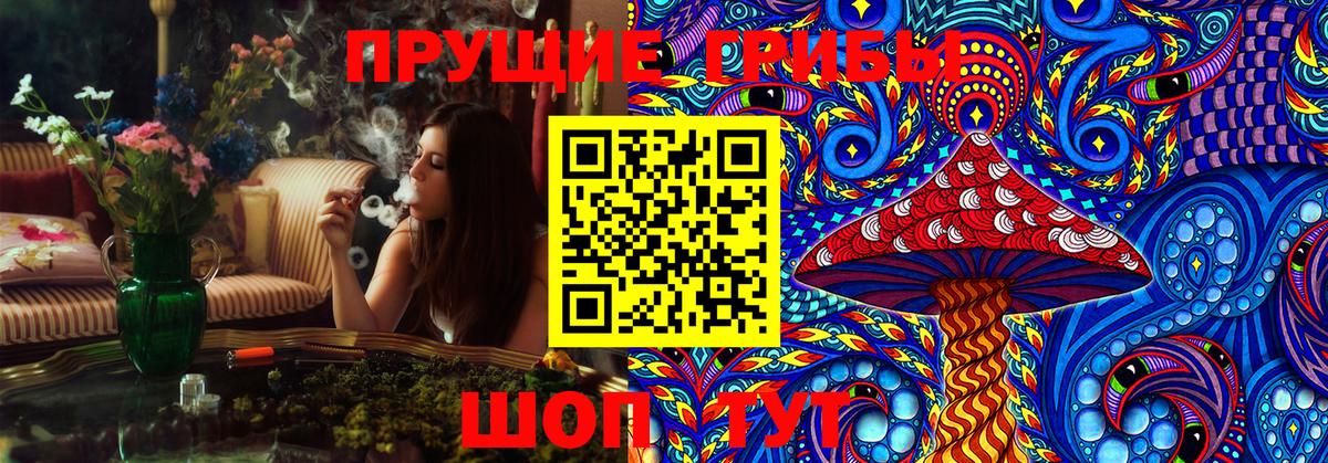 Псилоцибиновые грибы Psilocybe Партизанск
